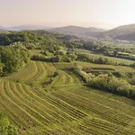Spolert Winery * Prepotto (Udine)