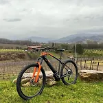 Spolert Winery * Prepotto (Udine)