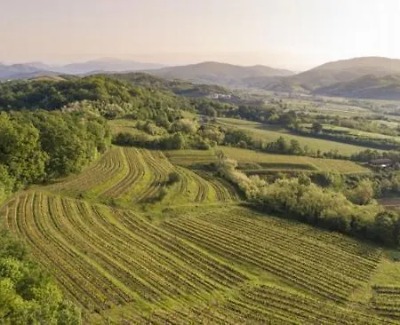 Spolert Winery * Prepotto (Udine)