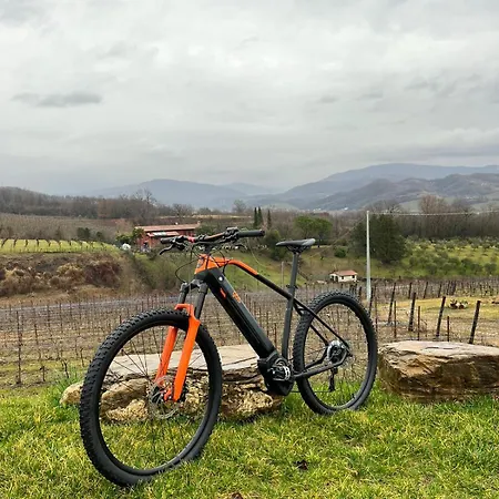 Spolert Winery * Prepotto (Udine)