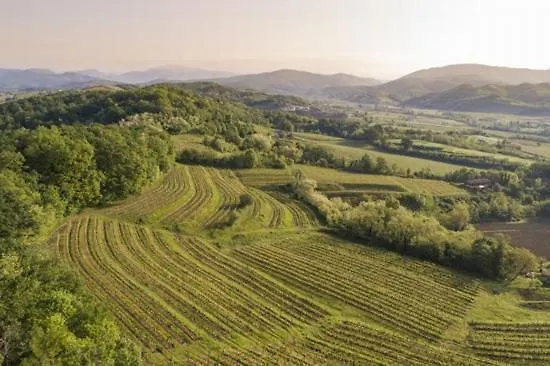 Spolert Winery * Prepotto